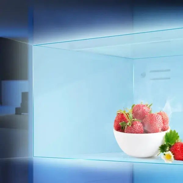 TCL P326TMS Top Mounted Refrigerator – 249L No Frost